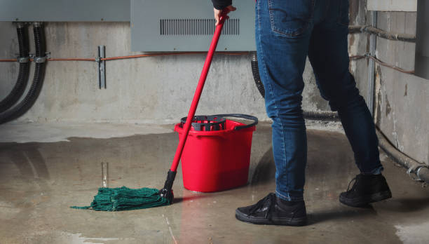 Best Water damage cleanup near me  in Haslett, MI
