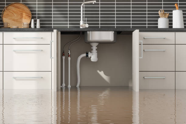 Best Flooded house restoration  in Haslett, MI